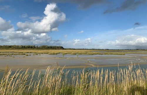 Sur le chemin des phoques - Foto 29