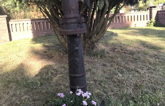 Schwalbe in der Heide - Foto 23