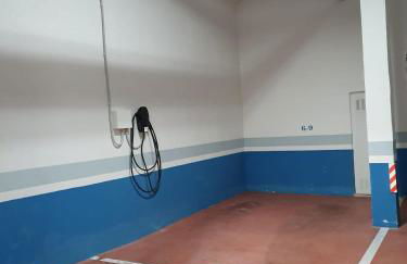 Estrelicia - Photo 41