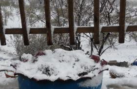 Loma Negra - Photo 17