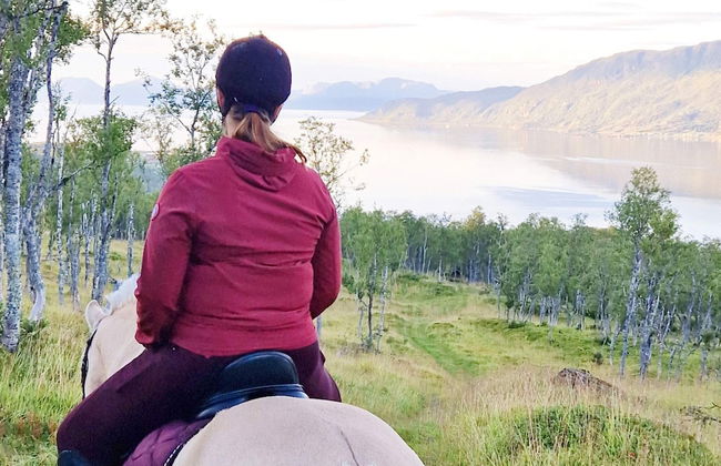 6 Person Holiday Home in Hamnvik - Foto 33