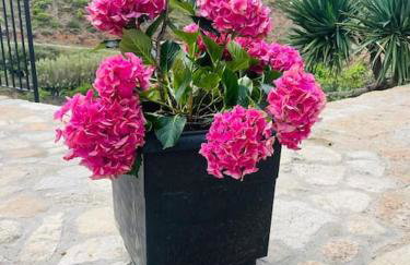 Villa Jardines de Guara - Foto 12
