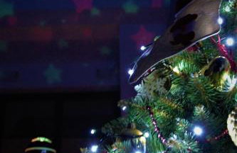 My Universe Mezzanine Apartment Tęczowe Wzgórze - Photo 39