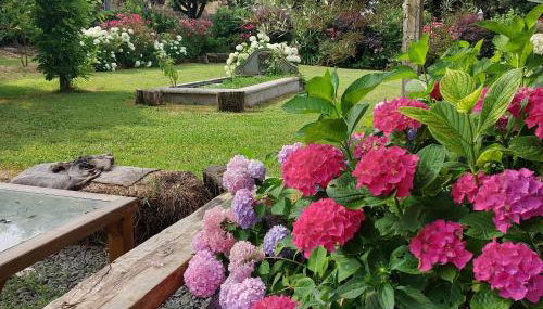 Orto delle Fate - Foto 2, Garden view