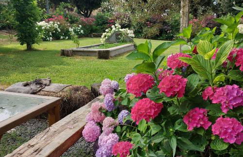 Orto delle Fate - Foto 2