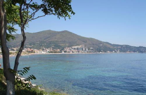 La CIASSA 00942-LT-0372 - Photo 56