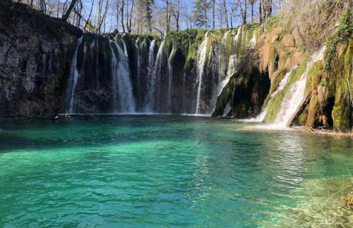 Apartman Katja - Foto 39