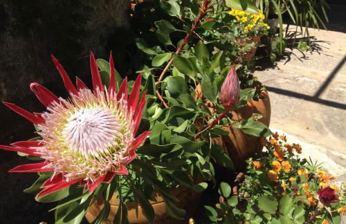 Casa de Romao - Foto 47