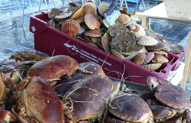 Apartment in St Quay Near Seven Beaches - Foto 8