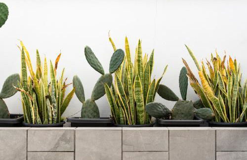 Apartamento en el Palo - Photo 18