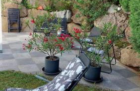 Apartment Talblick - Foto 14