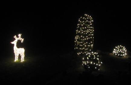 View & Garden Villa Schauenstein - Foto 24