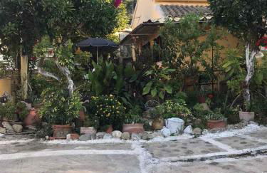 Mitsani Country House - Foto 12