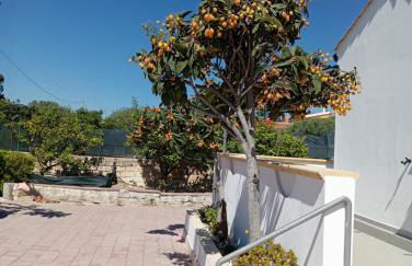 Villa IGMA - Foto 17