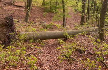 Altstadt Quartier - Foto 11