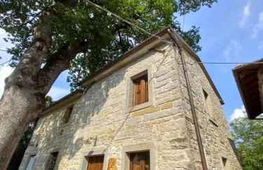 CASINA LA QUERCIA - Foto 25