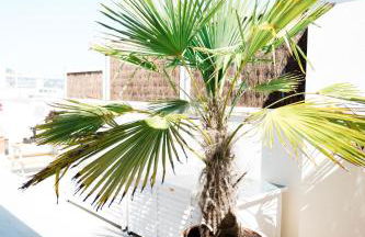 Apartamento Casa Gallardo - Foto 33