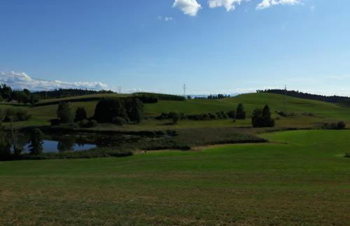 Schöne EinZimmer Wohnung Zwischen Bodensee und Allgäu - Foto 18