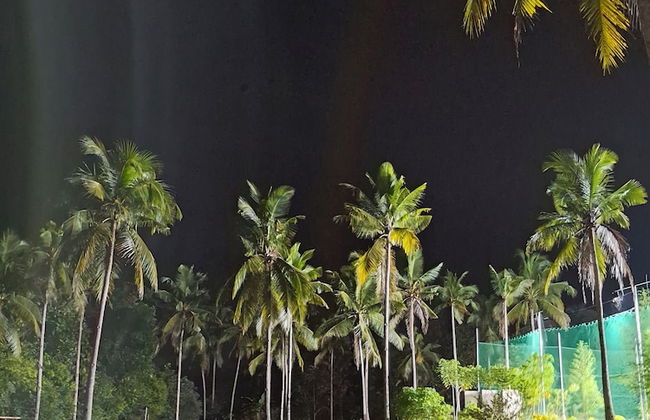 Asuneus Farm - Foto 17