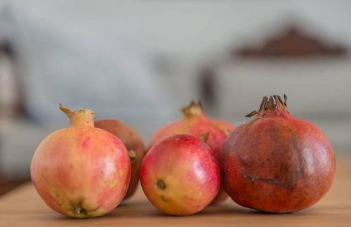 Vista Mare Pollonia - Foto 8