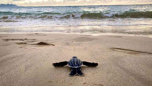 5 Springtide Villa With Resort Passes - Foto 5