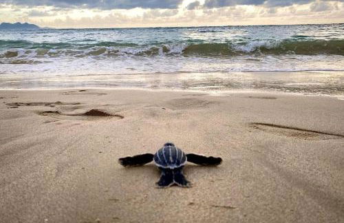 860 Sabal Ct - Photo 45