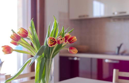 PIOPPETO NORD - Premium Villas - Photo 10