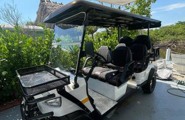 Navy Flamingo - Foto 37