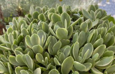 Casa Rocas Private Pool with swimjet! - Foto 52