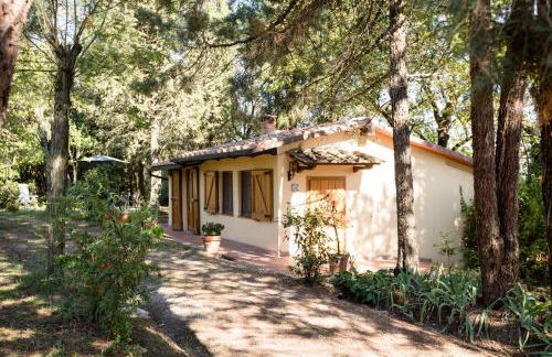 Fattoria Sant'Andrea - Farm Stay - Foto 24