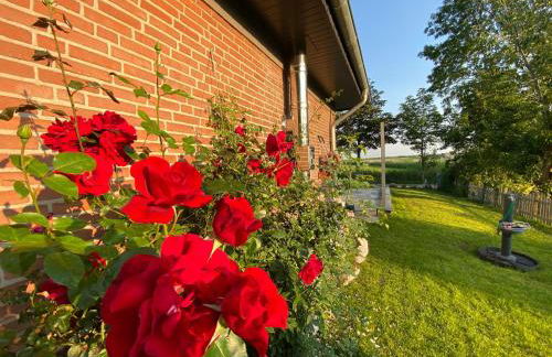 Nordseeurlaub im hochwertigen Feriendomizil Rosenhuus mit Sauna und Kamin im idyllischen Butjadingen - Foto 20
