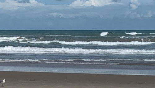 JJs Beach Condo - Photo 4