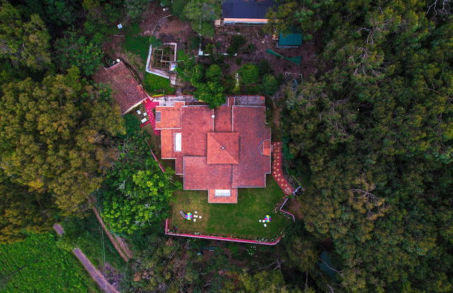 Rayne Forest - Foto 27