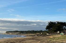 MAISON 3 CHAMBRES SUR UNE DUNE A 50 M DE LA PLAGE - Foto 13