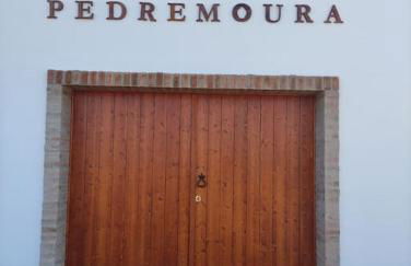 Turismo Rural Pedremoura - Foto 10