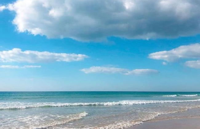 La Almadraba A7 147 in Chiclana - Foto 13