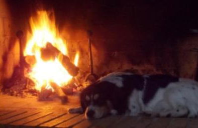 Welcome at Poggio Cantarello Country Home Tuscany - Foto 70