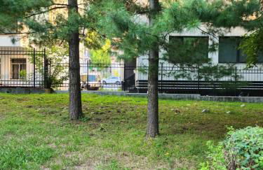 CRBN Di SJK28 - Foto 1