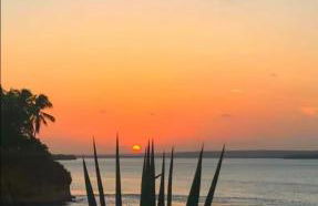 Prestes Exclusive - Pipa Ubaia - Foto 9