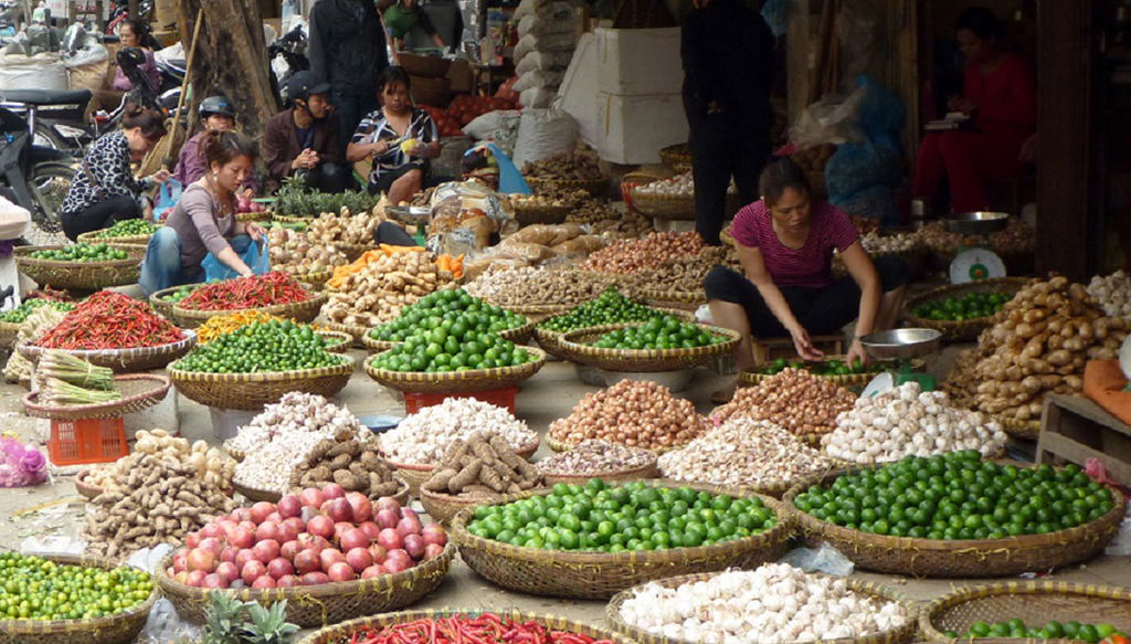 Dégustation de la cuisine de rue de Hanoï - Visite à pied d'une demi-journée - Photo 1