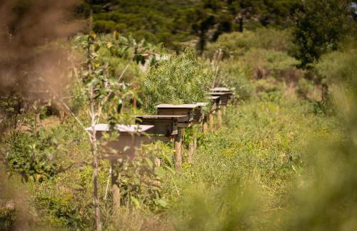 Vale Mandaçaia - Foto 42