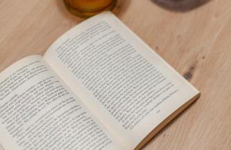 BPS Apartment #7 Luxury Penthouse - NEU - Deluxe - Modern - Foto 15