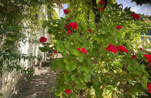 Charming Garden Retreat in Pedrogao Grande - Foto 33