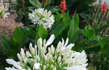 Casa Virginia - Foto 49