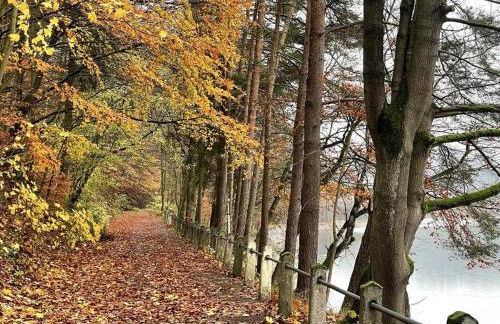 Villa Diemelsee - Photo 23