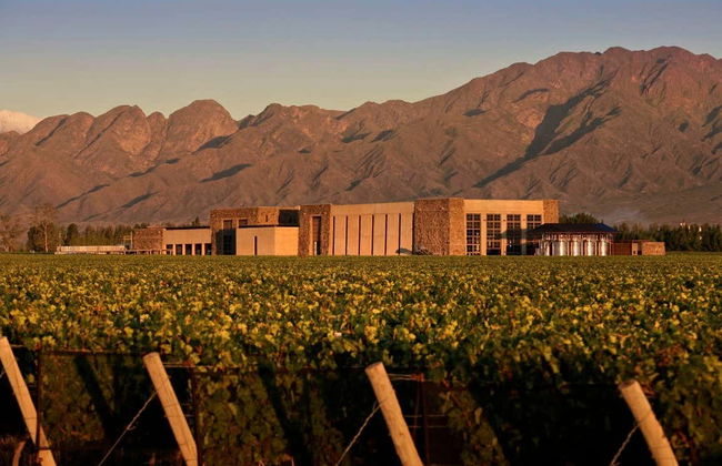 Tour privato delle cantine di Luján de Cuyo - Foto 3