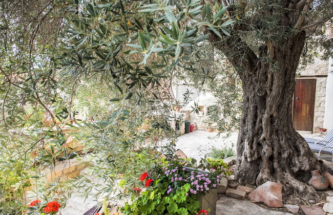 Vouni Lodge - Foto 11