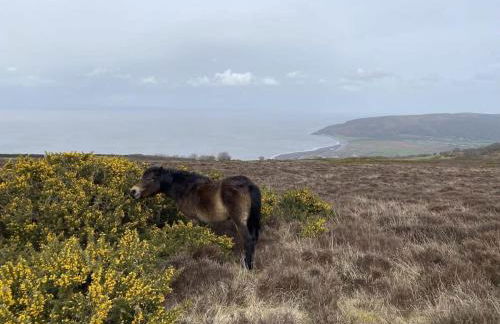 Beautiful Cottage Parking Central Dunster - Photo 37