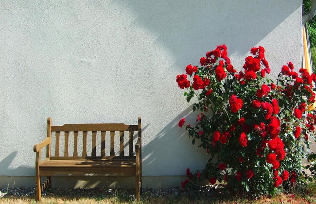Ferienwohnungen am Flacher See, Klocksin - Foto 13