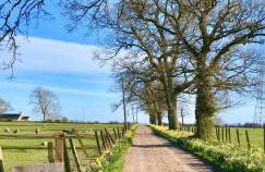 A Cozy Bothy Retreat with Hot Tub - Photo 15